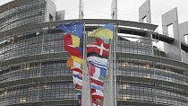 European flags fly outside the European Parliament Wednesday, Feb. 7, 2024 in Strasbourg, France.