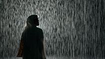 Rain Room, Sharjah