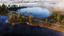 There’s plenty of nature to explore in Estonia, like its famous bogs. Wooden paths make hiking easier while reducing the impact on the complex ecosystem.