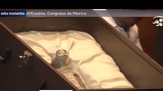 One of the fossilised corpses in its glass case on display in the Mexican Congress.