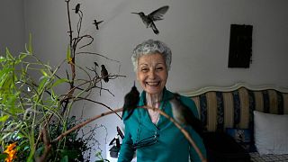 Catia Lattouf poses for a photo with hummingbirds in her care, in her apartment that she has turned into a makeshift clinic for the tiny birds in Mexico City.