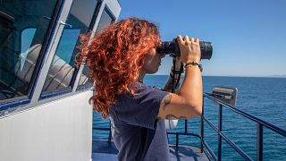 Laura Sánchez is a marine biologist onboard the Seahorse in the Gulf of California, Mexico