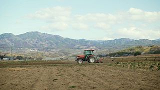 Rediscovering the best of Fukushima's local produce through innovation