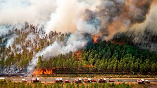 The firefighters lined-up on a road as they tackle a blaze near Saint-Magne, south of Bordeaux, southwestern France. August 11, 2022