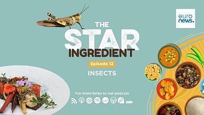 The Star Ingredient