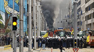 Police behind a barrier look at a pile of potatoes dumped by protestors during a demonstration of farmers near the European Council 