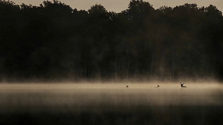 Vincent Munier photographe