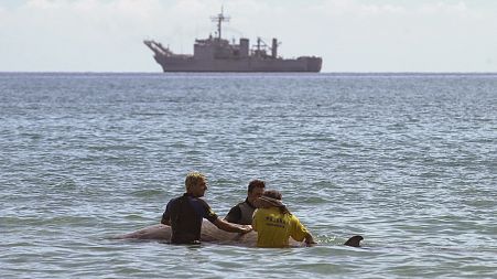 AFP PHOTO / Fuerteventura Government 