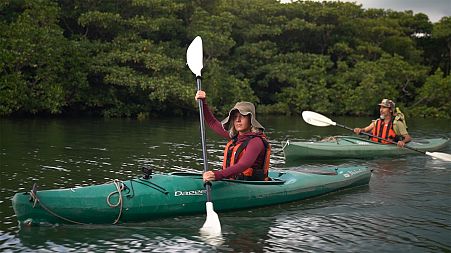 Exploring Japan's “Galapagos" island