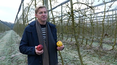 The fight for Europe's fruit: How orchards are adapting to warmer winters