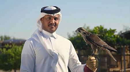 Watch: Qatar's medicine man healing his valuable patients