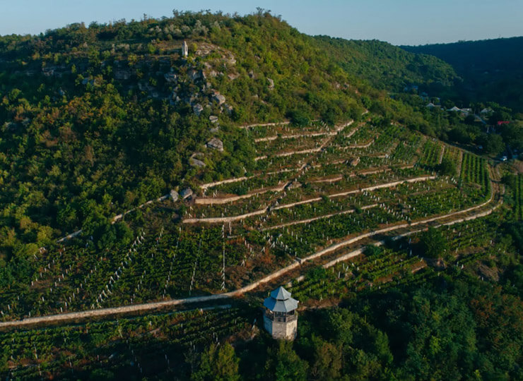 In celebration of the Moldovan winemaking tradition